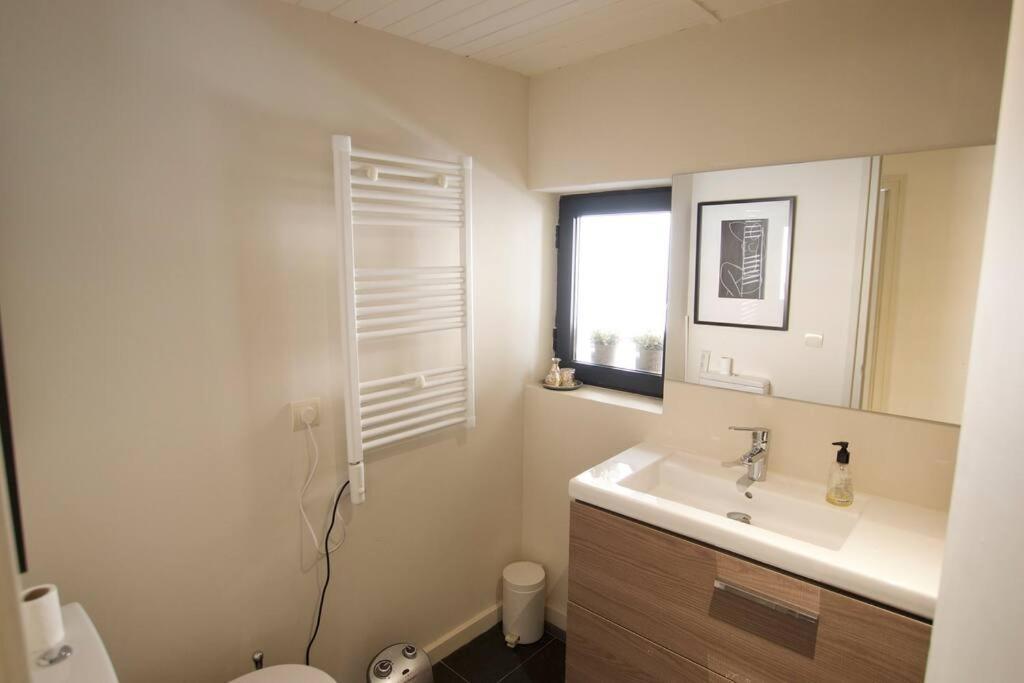 Apartament Central Amb Terrassa Alp Exteriér fotografie